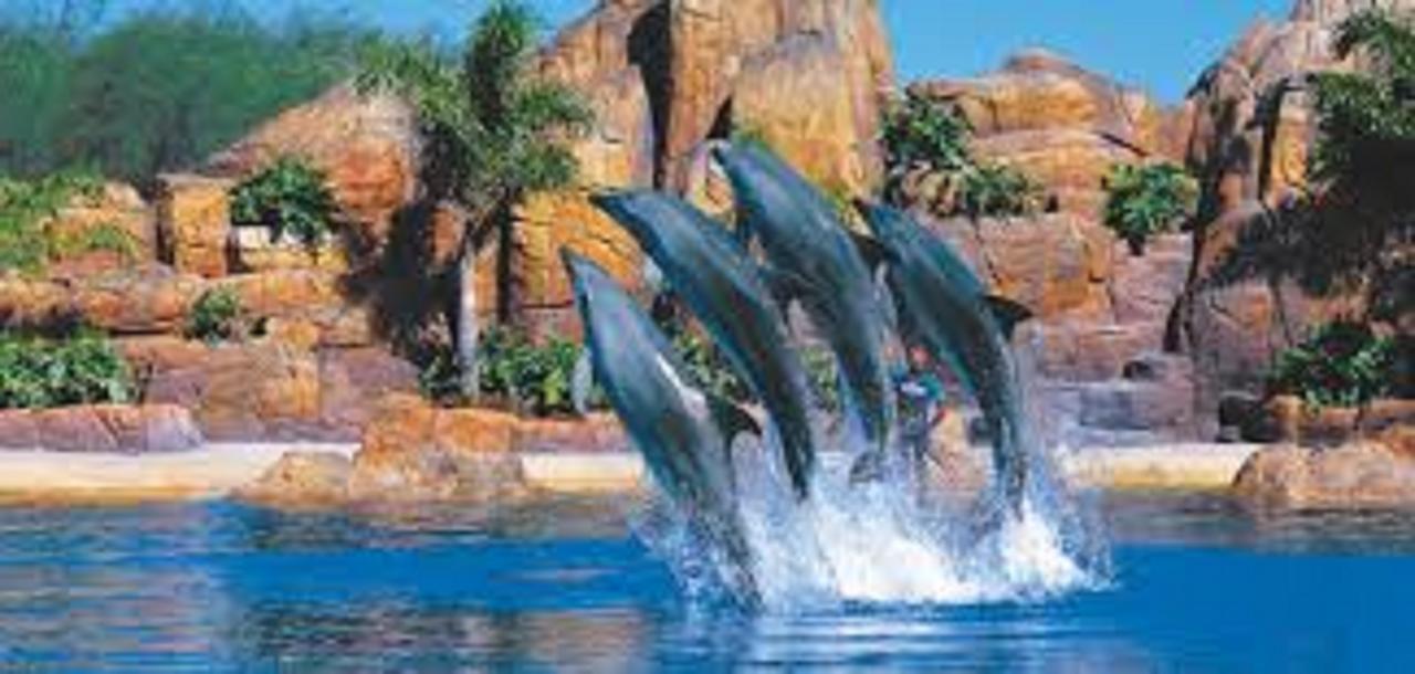 Gold Coast Theme Park Family Villa Exterior foto